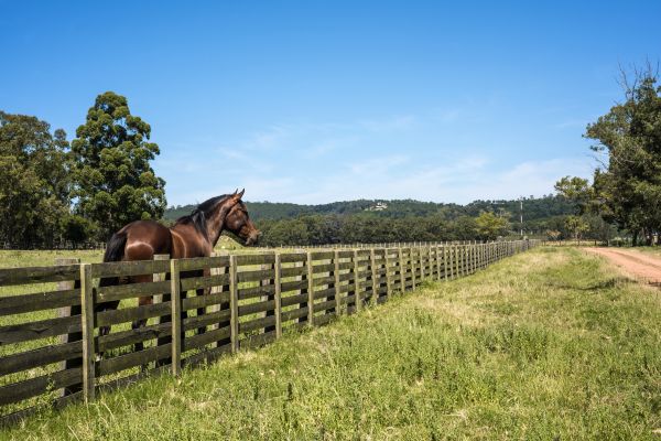 Horse Fence Repair
