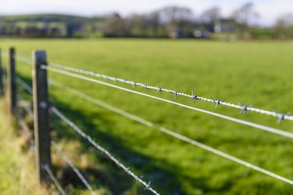 Agricultural Fence Repair